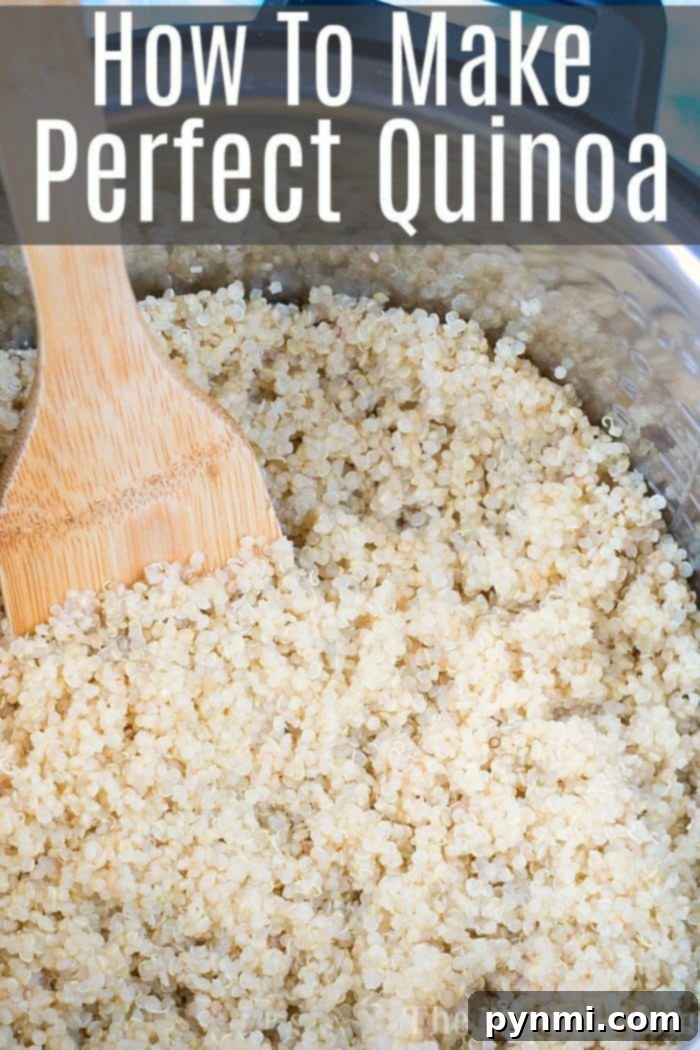 Start your day right with perfect pressure cooker breakfast quinoa. An excellent, protein-rich oatmeal alternative, garnished with seasonal fruit and a touch of honey. A bowl of perfectly cooked quinoa, ready for breakfast toppings