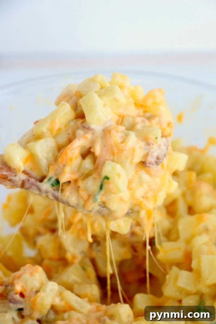 Twice baked potato casserole recipe