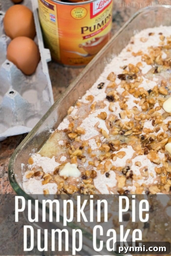 Easy pumpkin dump cake with golden crust and a scoop of ice cream on top.