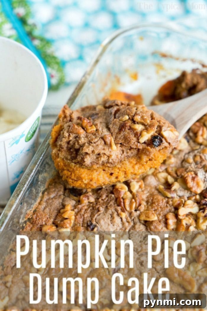Pumpkin Pie Dump Cake with a spoonful missing, showcasing its moist texture.