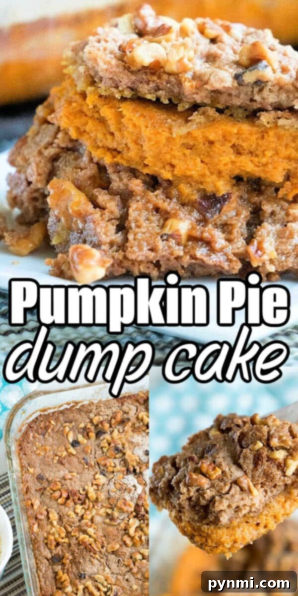 Close-up of pumpkin pie dump cake with chopped walnuts, shown in slices and a baking dish—this easy pumpkin pie dump cake is topped with crunchy walnuts for a perfect fall treat.