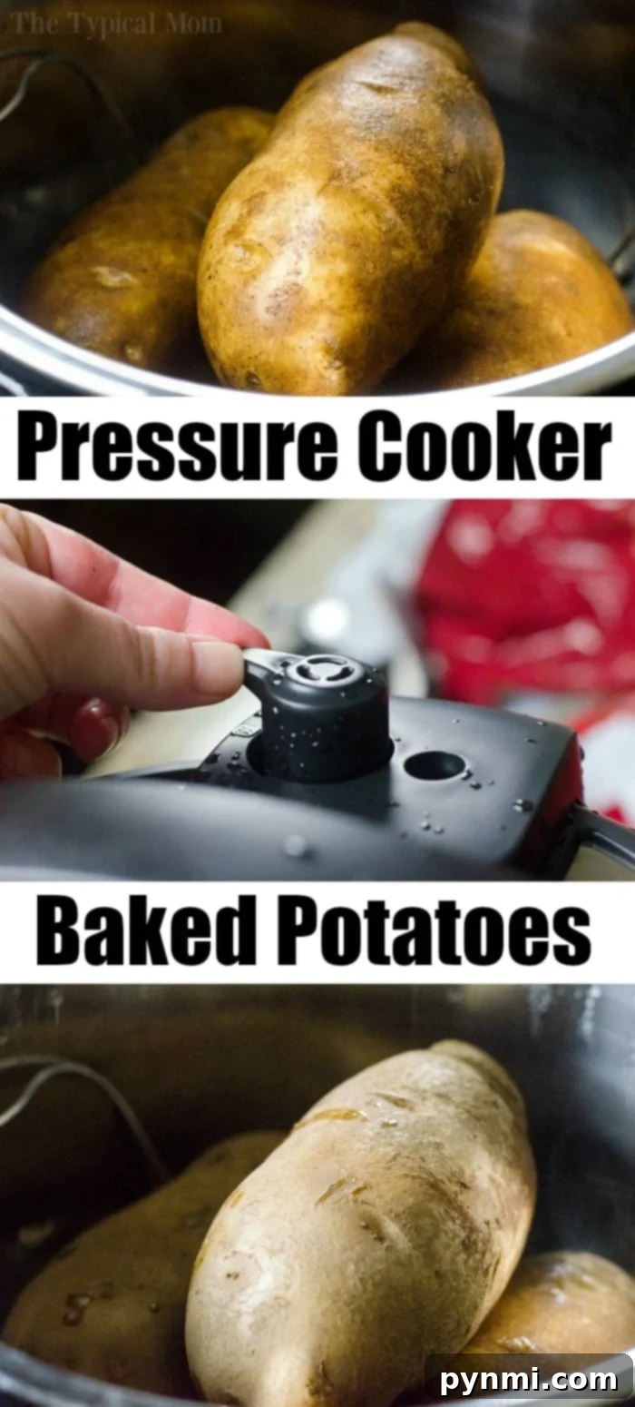 Pressure cooker baked potatoes and stuffed chicken are a great duo! Instant Pot dinner success again. #pressurecooker #instantpot #bakedpotatoes #potatoes #sidedish #instantpotrecipes #thetypicalmom #ninjafoodi Ninja Foodi baked potatoes showcasing a crispy skin finish.