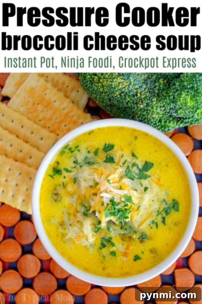 Ninja Foodi or Instant Pot broccoli cheese soup. Ninja Foodi, broccoli, cheese, soup, Instant Pot. A vibrant bowl of Ninja Foodi or Instant Pot Broccoli Cheddar Soup, garnished with fresh herbs and extra shredded cheese, ready to be enjoyed.