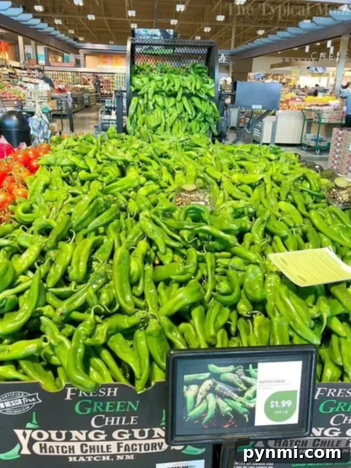 A large display of fresh green chile peppers at a grocery store features a sign reading "Hatch Chile $1.99 per lb." A conveyor belt above adds more chiles to the pile, perfect for your next instant pot sausage rice casserole. Other produce is visible in the background.