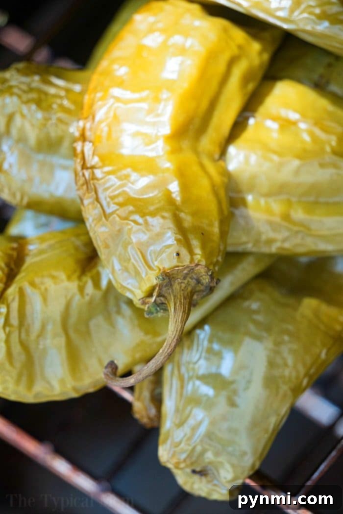 A selection of tender, smoked chiles with slightly shriveled skins, showcasing their rich color and texture.