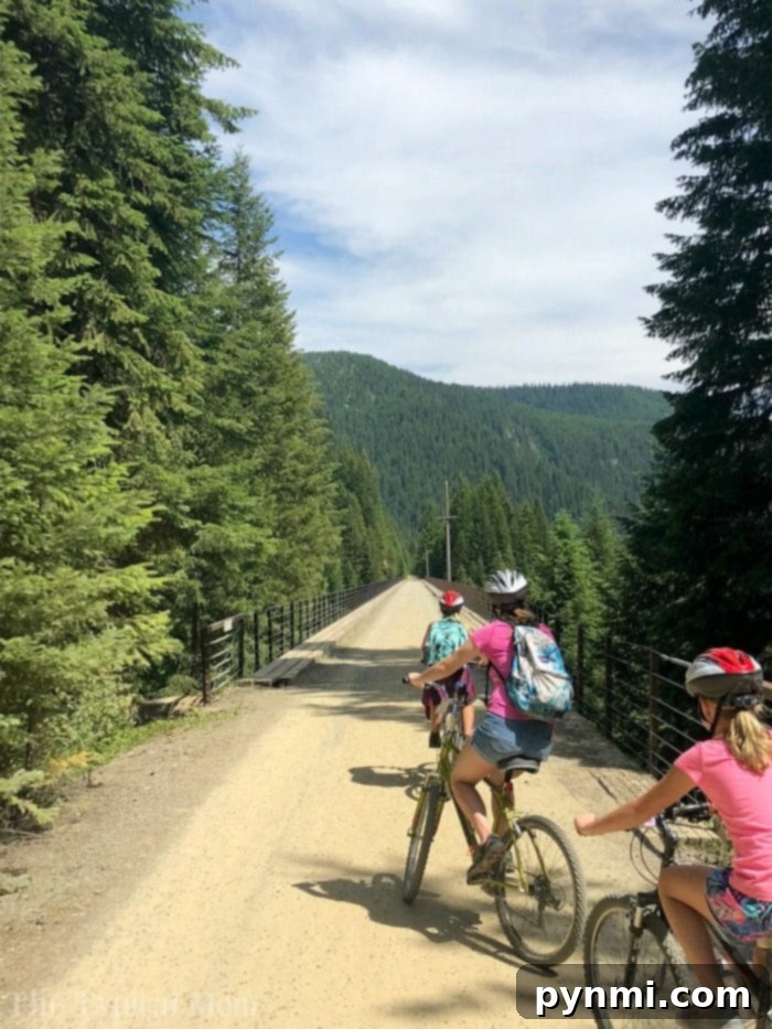 Hiawatha Bike Trail cyclists navigating a scenic section