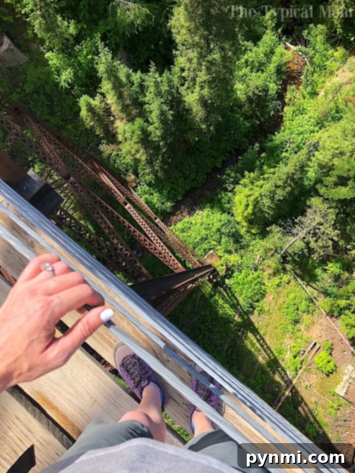 Iconic Trestle Bridge on the Hiawatha Bike Trail