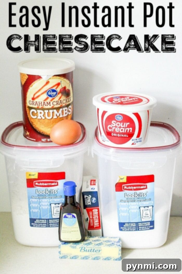 This Instant Pot cheesecake recipe is easy for beginners and a fail proof way to make your favorite pressure cooker dessert with just a few ingredients! #instantpot #pressurecooker #cheesecake #easy #simple #instantpotrecipes Delicious Instant Pot cheesecake slice topped with fresh berries