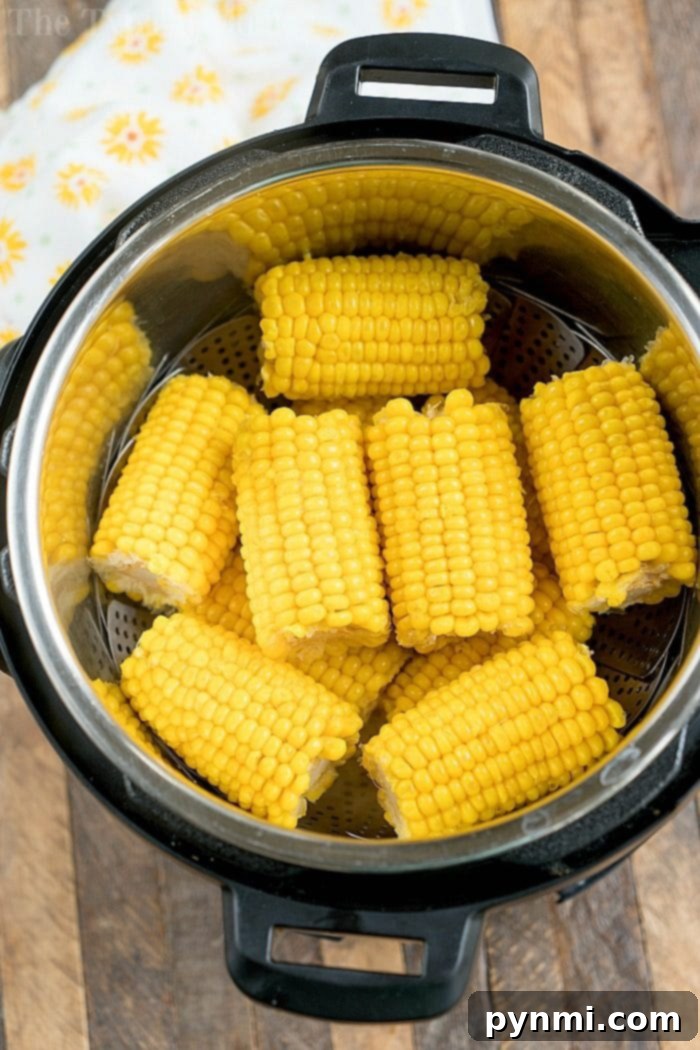 Instant Pot corn is the only way to go! Using your pressure cooker is the easiest way to steam frozen corn on the cob to perfection every time. #instantpot #pressurecooker #corn #frozen #cornonthecob #fresh Pressure cooker corn ready to serve