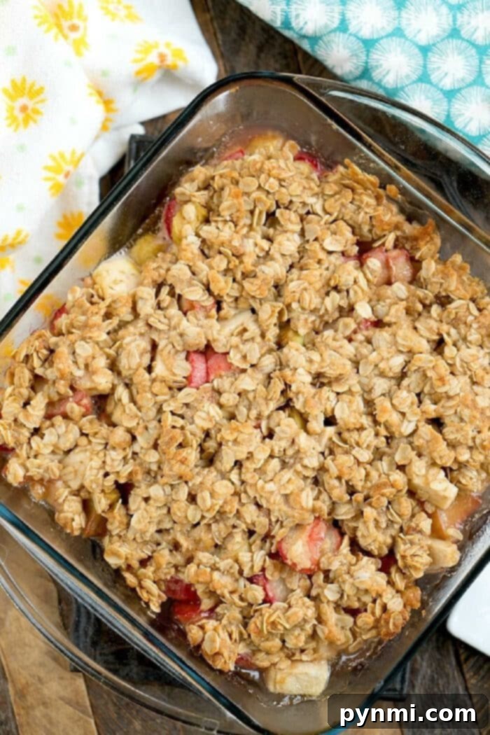 Golden Brown Apple Rhubarb Crisp, Perfectly Baked A close-up view of a baked apple rhubarb crisp, showcasing the fruit filling bubbling and the golden-brown, crunchy oat topping. Steam subtly rises from the warm dessert.