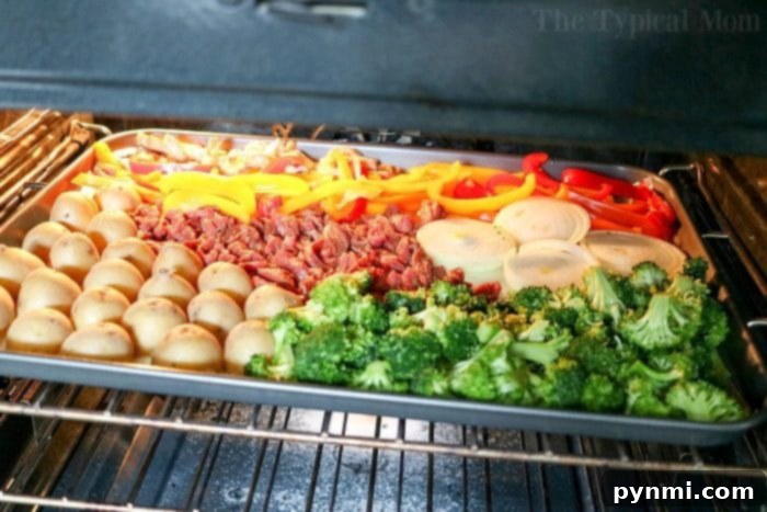 Sheet Pan Fajitas 4 Sheet Pan Fajitas: Close-up of perfectly cooked steak, bell peppers, and onions, showcasing the tender textures and vibrant colors, with a sprinkle of fresh cilantro.