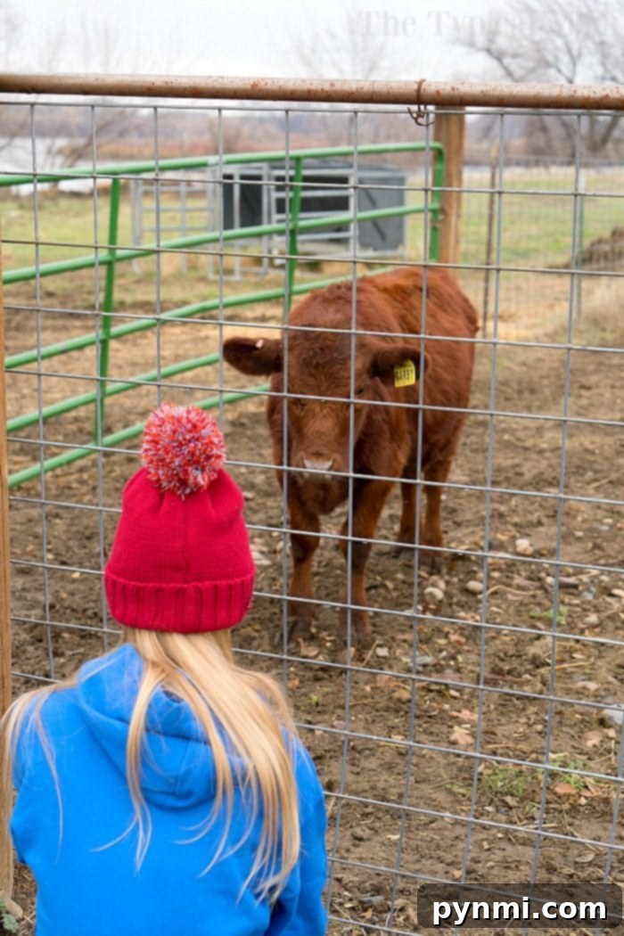 4-H Program: Inspiring Youth Through Hands-On Farm Learning and Community Projects Two young girls actively participating in a 4-H farm project, learning about animal care.