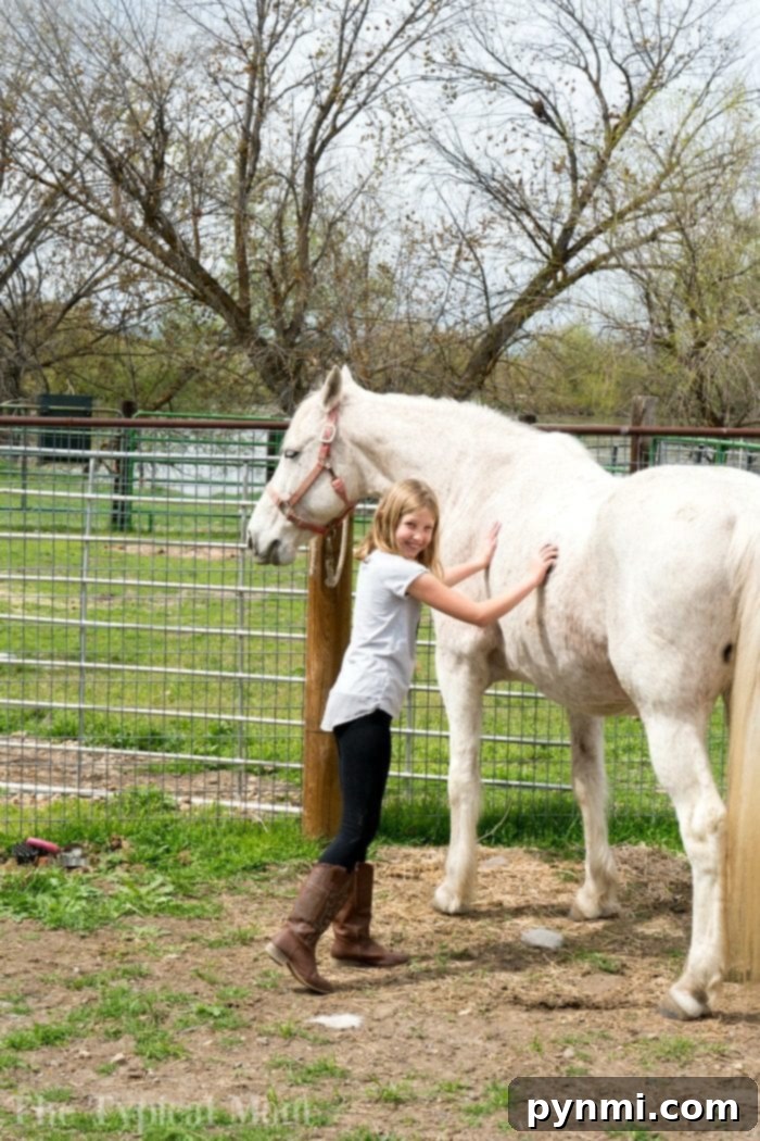 Experiential Learning with 4-H: Kids Connecting with Animals on a Farm Two girls petting a gentle horse on a farm as part of a 4-H related educational visit.