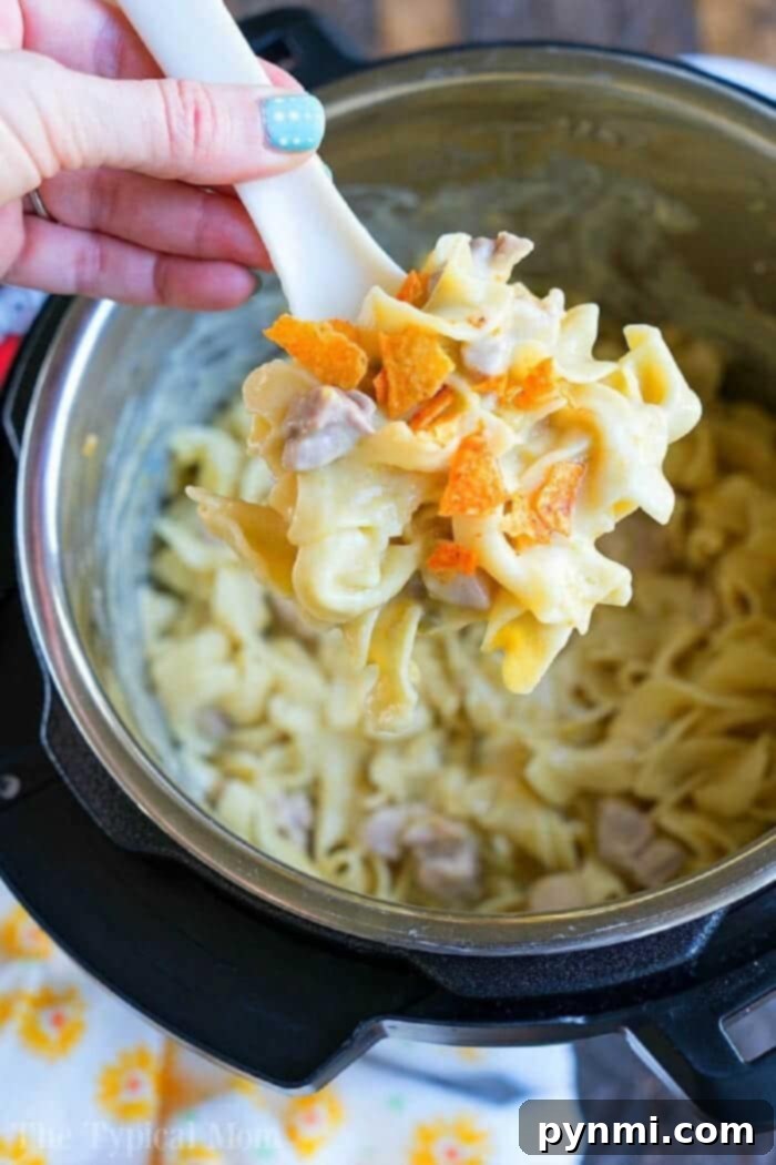 A hand presenting a spoonful of creamy noodle casserole with succulent chicken pieces and colorful carrots, freshly scooped from an Instant Pot, highlighting the appeal of the pressure cooker Dorito casserole.