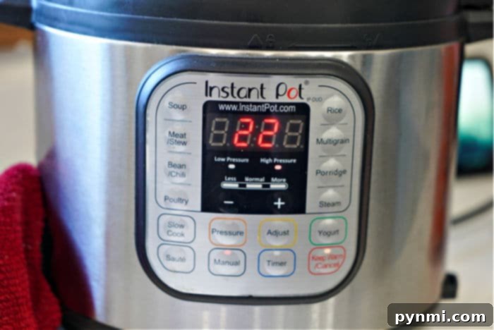 A perfectly cooked instant pot meal featuring tender meat and vegetables, illustrating efficient cooking methods for bulk-bought ingredients.