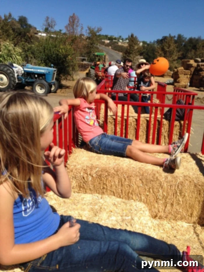Peltzer Farm Temecula: A Slice of Country Charm 2 Peltzer Farm Entrance and Fall Decor