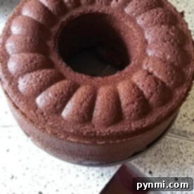 Round chocolate bundt cake resembling a giant Ninja Foodi brownie, on a speckled countertop.