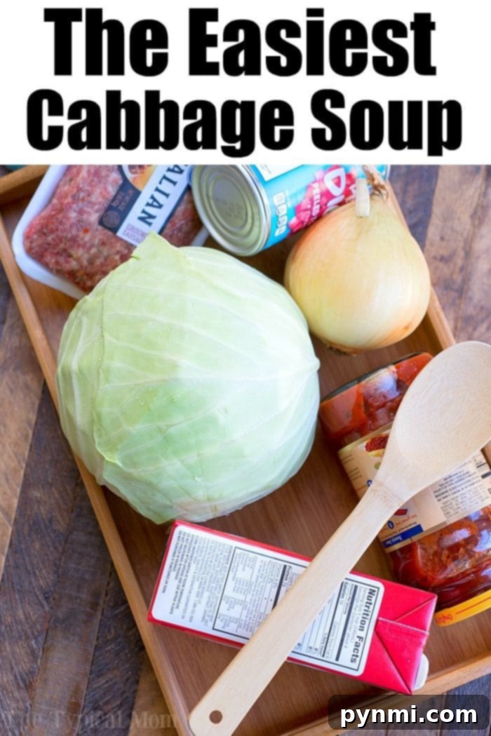 Ingredients laid out for easy cabbage soup recipe.