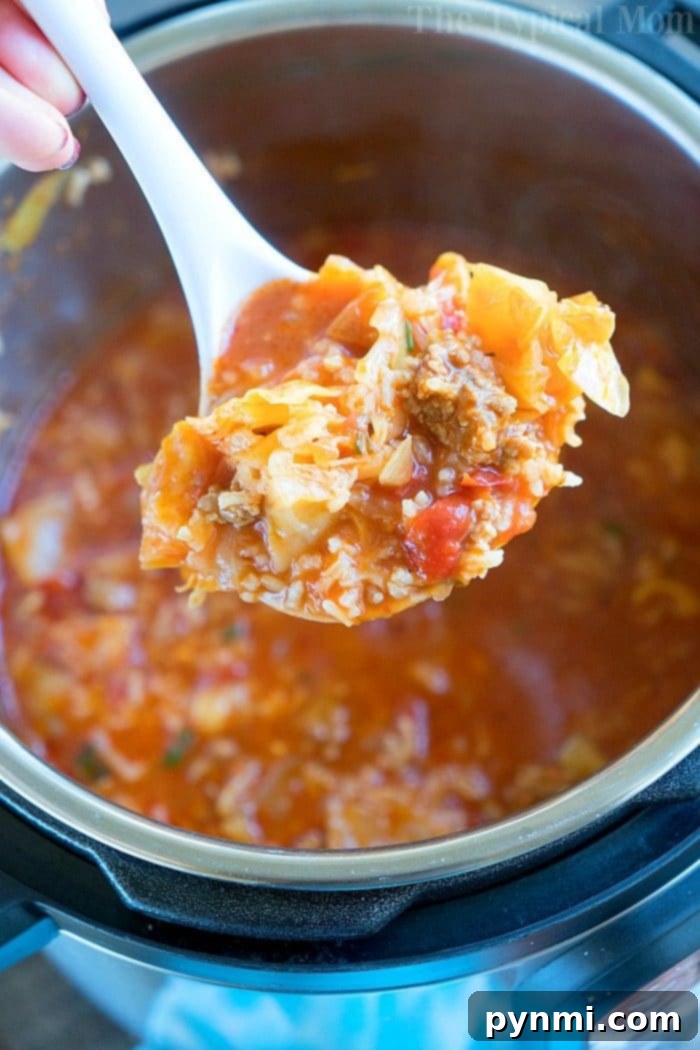 Pressure cooker cabbage soup ready to serve.