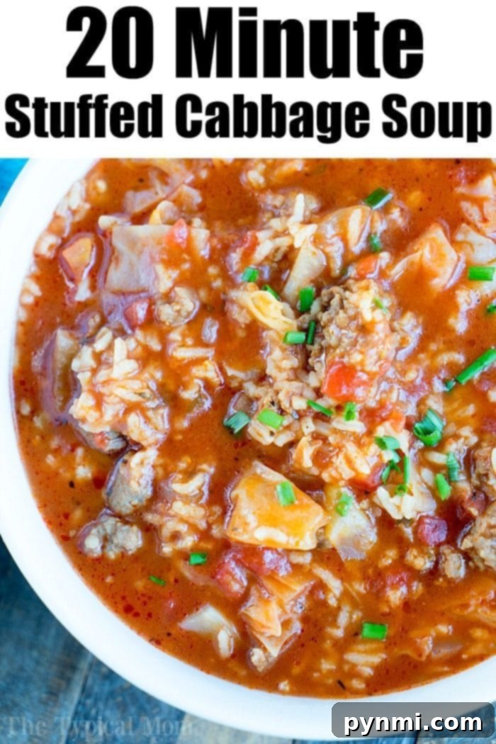 A bowl of delicious Instant Pot stuffed cabbage soup.