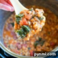 Close-up of a ladle with Hoppin' John, featuring tomatoes and greens, held over an Instant Pot.
