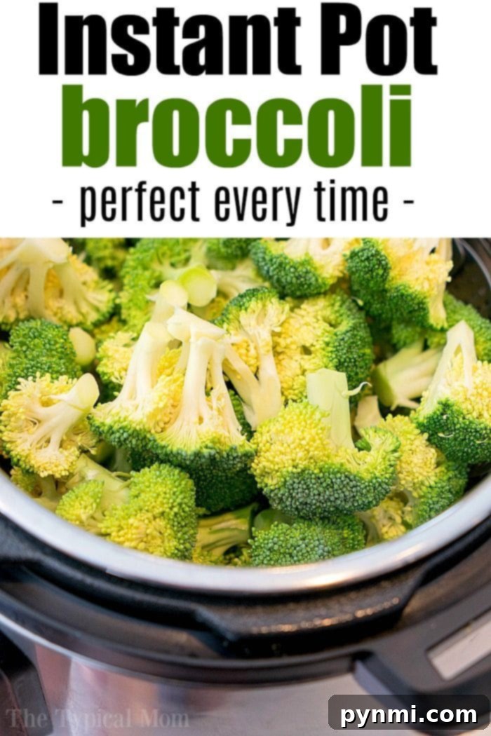 Steamed broccoli florets, freshly cooked in an Instant Pot, retaining their vibrant green color.