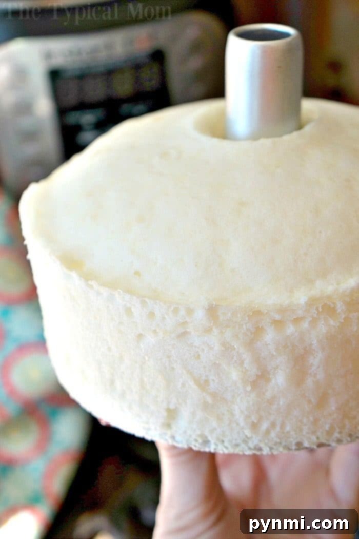 Here are the best Instant Pot accessories for Instant Pot lovers, it may be yourself! Need a gift guide for Instant Pot fanatics in your family, it's here. #instantpot #giftguide #accessories #best #thetypicalmom #tips instant pot angel food cake 3