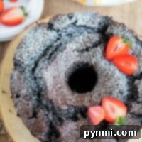Chocolate Angel Food Cake - a rich, dark chocolate cake