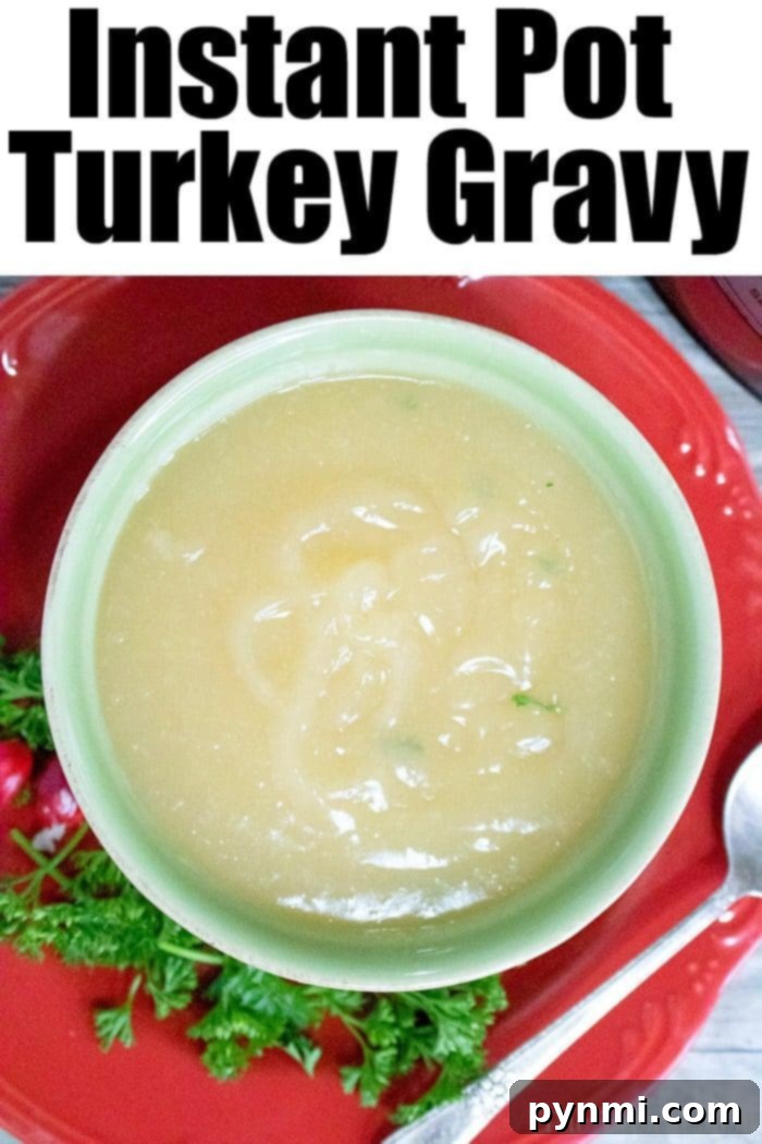 Delicious pressure cooker turkey gravy served alongside carved turkey for a holiday feast.