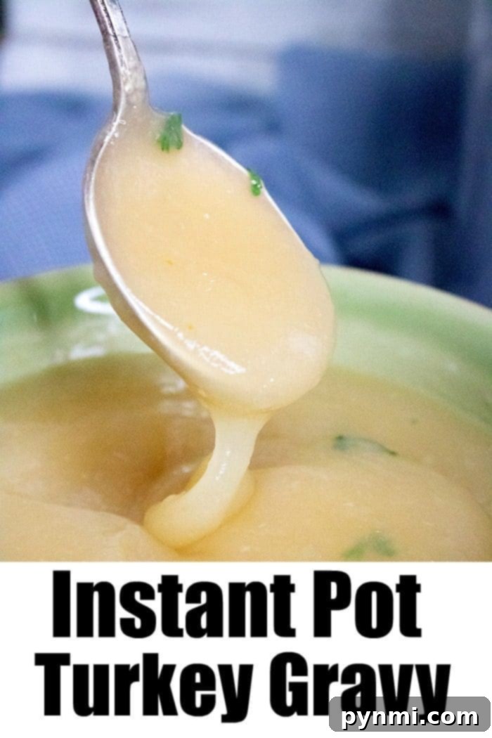 A serving of perfectly smooth pressure cooker turkey gravy drizzled over a slice of roast turkey.