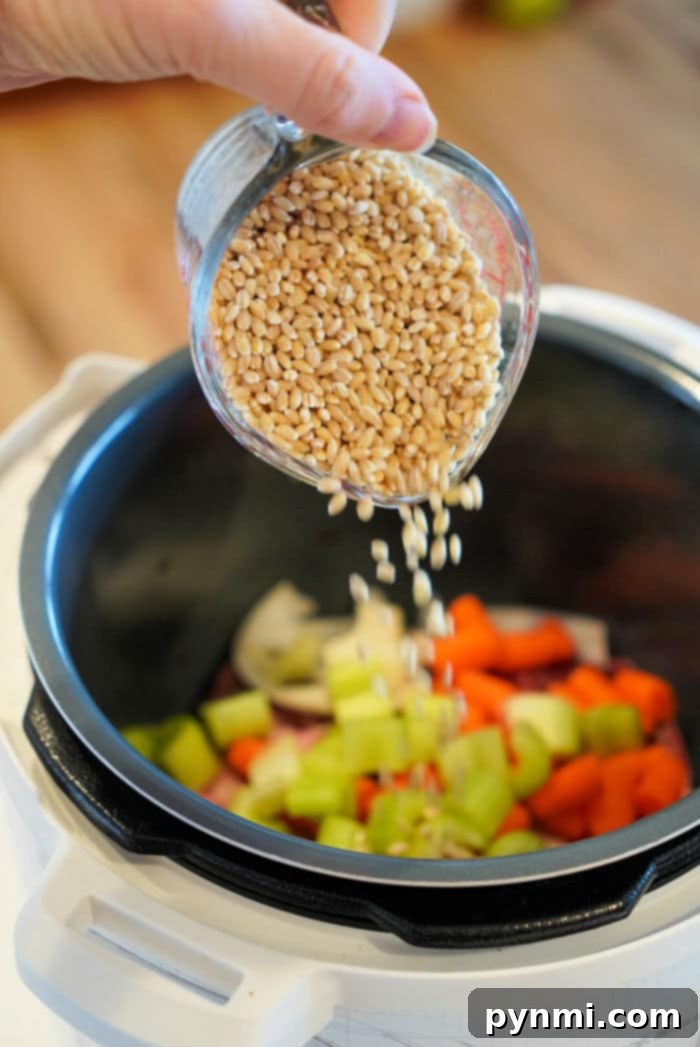 Hearty Instant Pot Barley Stew 3 A bowl of Instant Pot barley soup, presented without meat, showcasing its vibrant vegetable content and comforting texture for a vegetarian option.