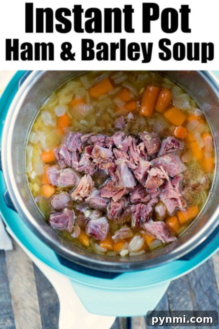 This Instant Pot barley soup with ham is a tasty healthy dinner idea we all loved. Using uncooked barley and leftover ham we packed it with vegetables too. #instantpotrecipes #instantpot #pressurecooker #soup #barley #ham #beef #healthy #barleysoup #thetypicalmom A top-down view of Instant Pot barley soup with ham and vegetables, highlighting the rich broth and vibrant ingredients.