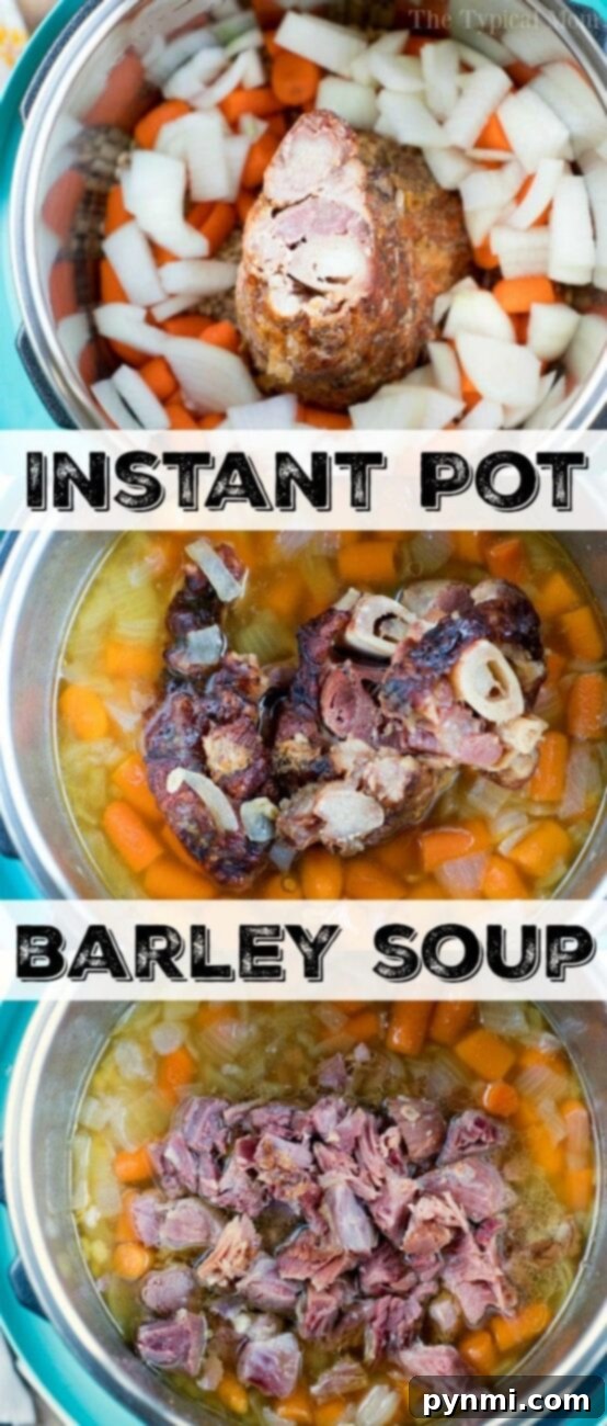 This Instant Pot barley soup with ham is a tasty healthy dinner idea we all loved. Using uncooked barley and leftover ham we packed it with vegetables too. #instantpotrecipes #instant pot #pressurecooker #soup #barley #ham #beef #healthy #barleysoup #thetypicalmom Instant Pot barley soup with ham and carrots, served in a rustic bowl with fresh herbs.
