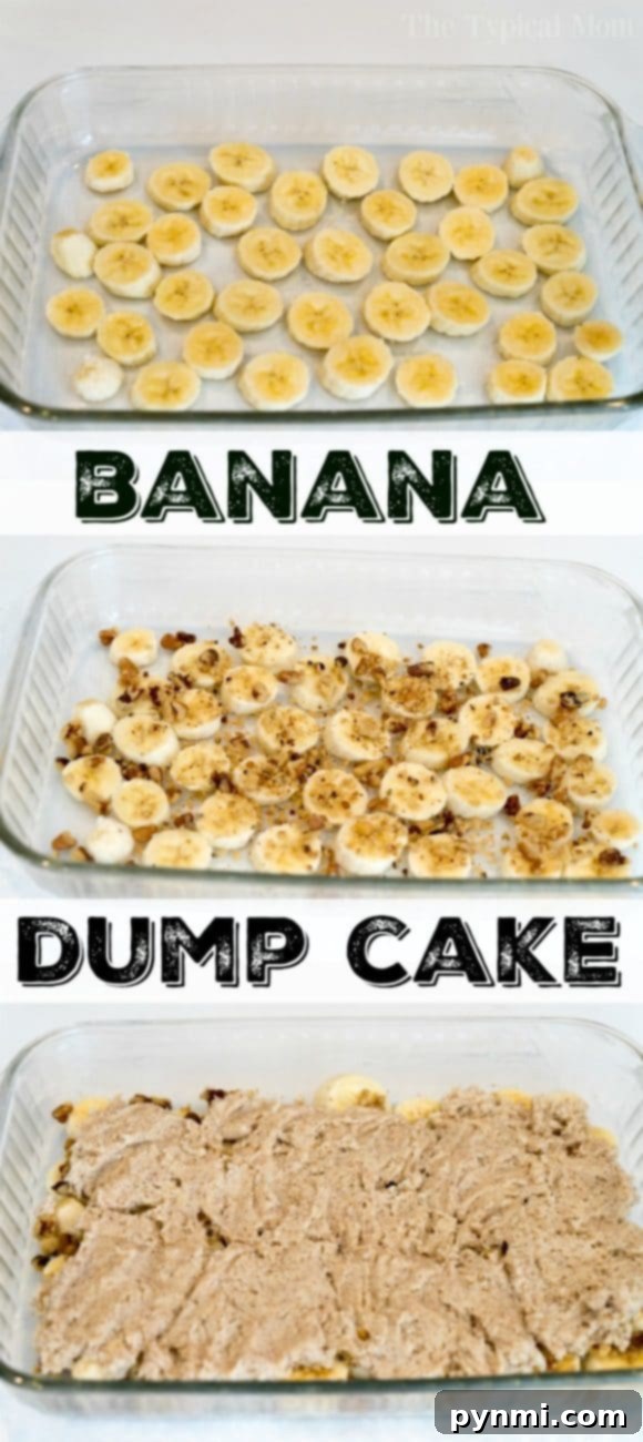 This banana dump cake is incredibly easy to make and ideal for banana bread lovers. A perfect dessert with caramel sauce. A golden-brown easy banana dump cake, fresh from the oven, offering a tempting view of its warm, inviting texture.