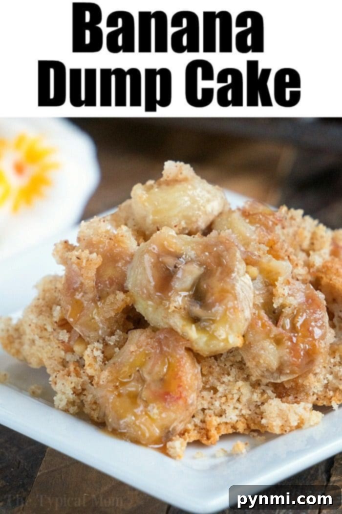 Effortless Banana Dump Cake: Tastes like banana bread, perfect dessert with caramel drizzle. A stunning shot of Banana bread Dump Cake, showcasing a perfect slice with a golden crust and tender banana interior.