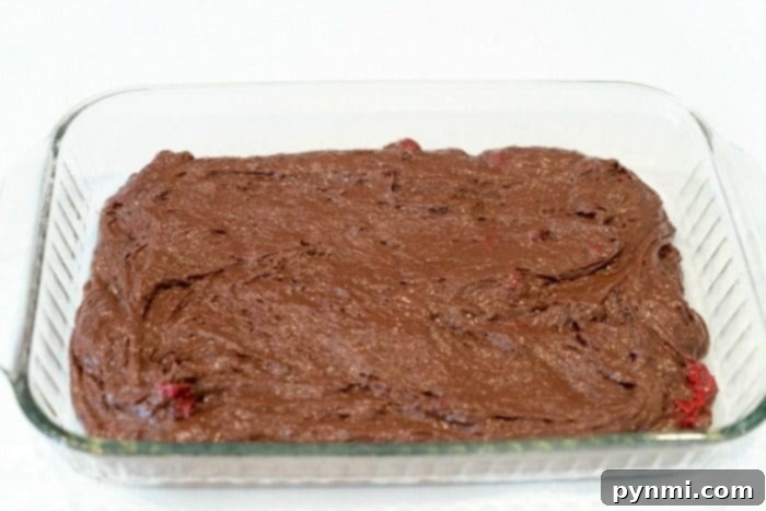 A slice of moist chocolate dump cake with cherry filling