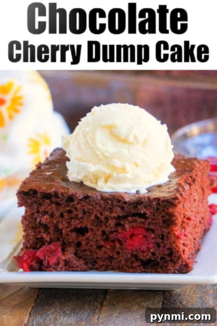 Beautifully presented Chocolate-Cherry-Dump-Cake slice