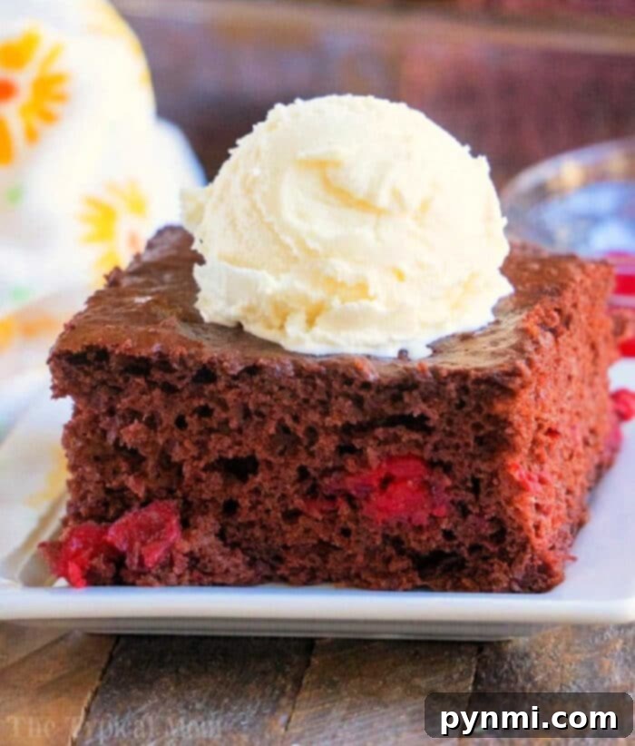 A whole 3-ingredient chocolate cherry dump cake in a baking dish