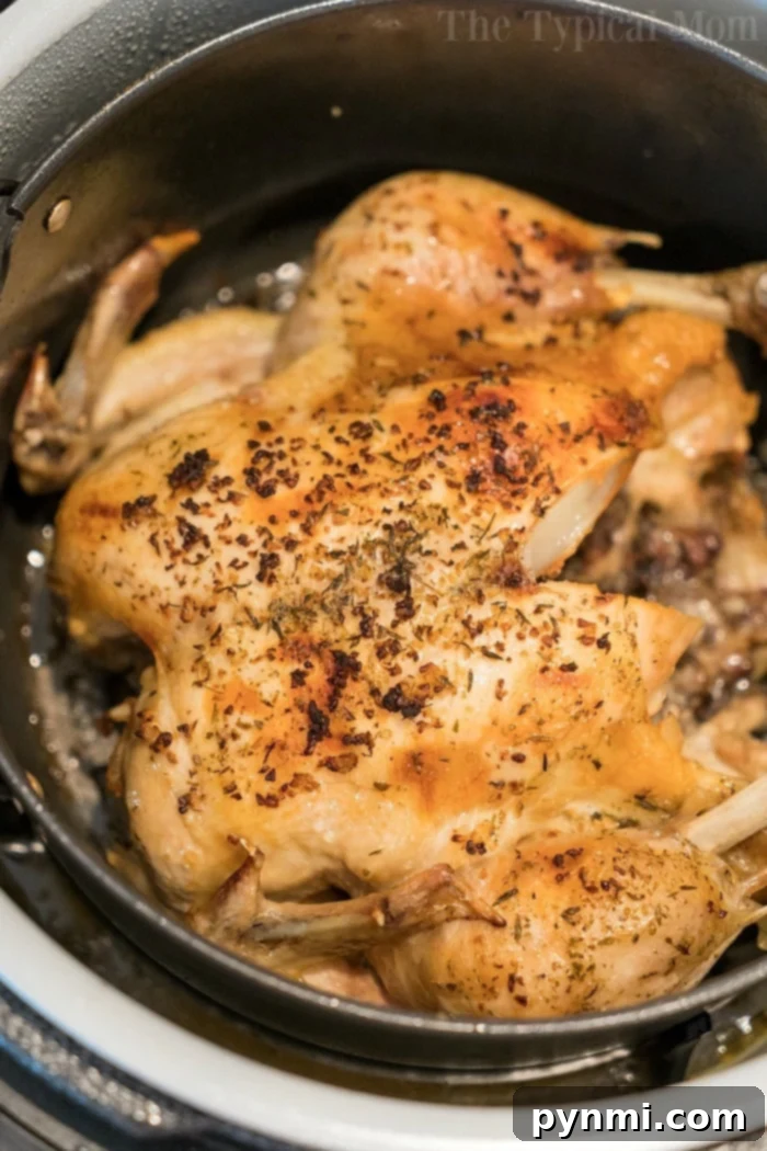 From Freezer to Feast Instant Pot Whole Chicken 3 A whole roasted chicken with crispy, golden-brown skin and a sprinkle of herbs sits inside a Ninja Foodi, showcasing a delicious Ninja Foodi chicken recipe.