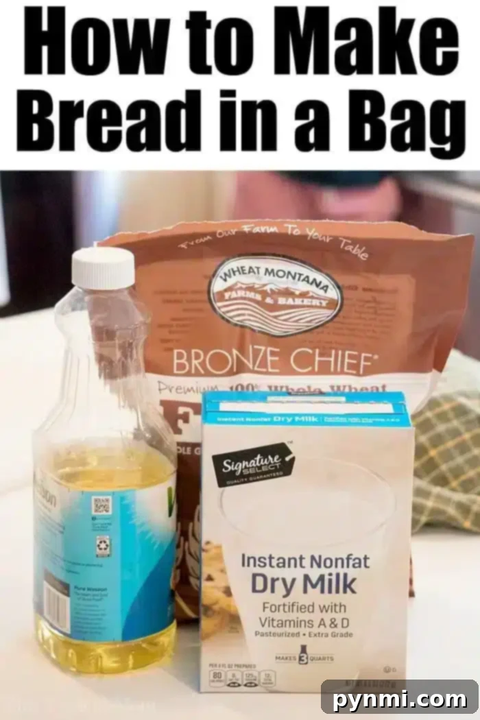 Discover how to make bread in a bag with your kids! A wonderful activity that inspires new experiences. #bread #homemade #breadinabag #honeywheat #activitiesforkids Whole wheat bread in a bag recipe ingredients and process shown visually.