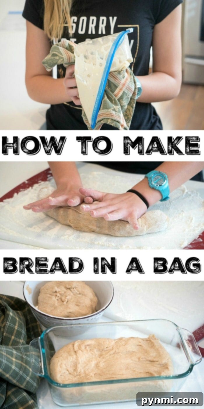 This is how to make bread in a bag with your kids! A great activity to do together that inspires kids to do something new they've never tried before. #bread #homemade #breadinabag #honeywheat #activitiesforkids Three hands, presumably kids, holding a Ziploc bag containing dough, illustrating the 'bread in a bag' process.