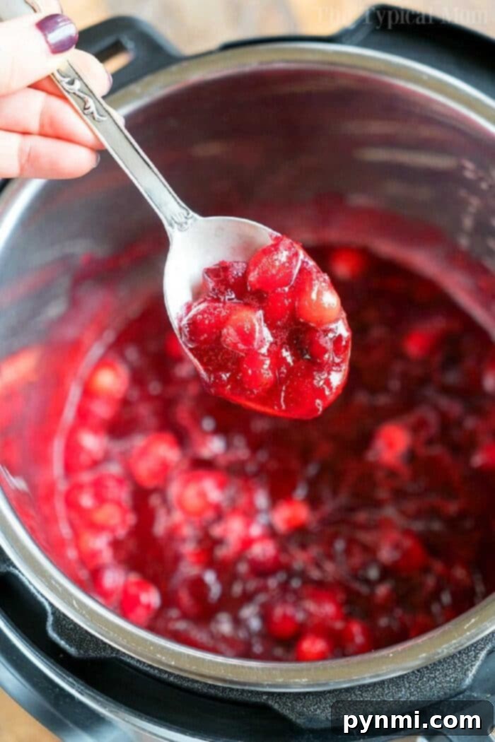 Effortless Cranberry Creations for Your Thanksgiving Feast 2 Easy Cranberry Recipes