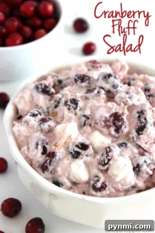 Effortless Cranberry Creations for Your Thanksgiving Feast 6 Cranberry-Fluff-Salad