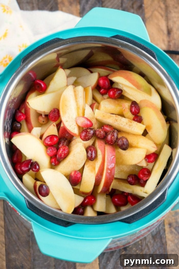 This Instant Pot cranberry applesauce is a great Thanksgiving or Christmas side dish or snack throughout the year. It's a great sweet homemade treat. #instantpot #instantpotrecipes #thetypicalmom #cranberry #applesauce #homemade #pressurecooker #crockpotexpress Vibrant pressure cooker cranberry applesauce ready to be served