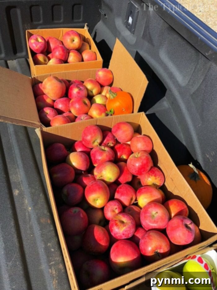 Tangy Cranberry Apple Sauce 3 Cardboard boxes filled with red apples are stacked in the back of a truck, ready to be transformed into delicious treats like instant pot cranberry applesauce.