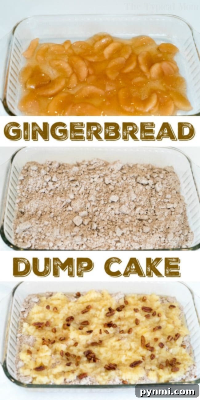 This gingerbread dump cake is moist and delicious with all the Christmas flavors you crave! Serve an easy gingerbread cake for brunch or dessert this year. #gingerbread #dumpcake #cake #dessert #christmas #easy #thetypicalmom Gingerbread Cake preparation steps, showing layers of ingredients