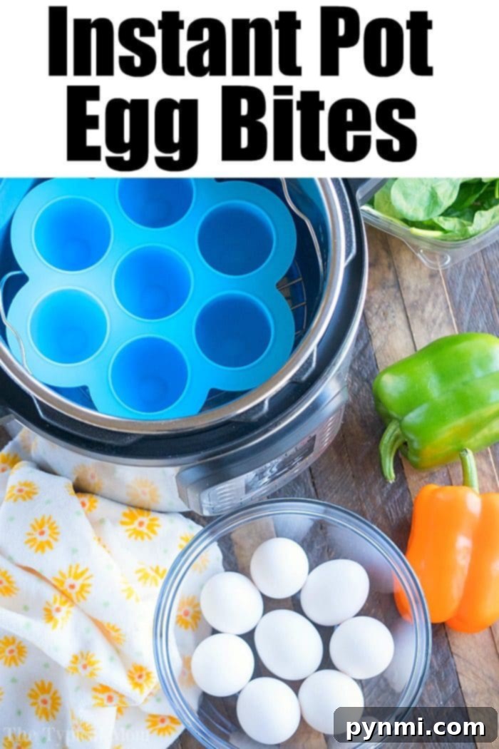 Pressure cooker egg bites are the perfect protein packed breakfast for busy mornings. A great Keto Instant Pot recipe with just a few ingredients. #instantpot #eggbites #starbucks #keto #instantpotrecipes #pressurecooker #crockpotexpress #thetypicalmom A vibrant plate of Pressure Cooker Egg Bites garnished with fresh herbs, ready to be served