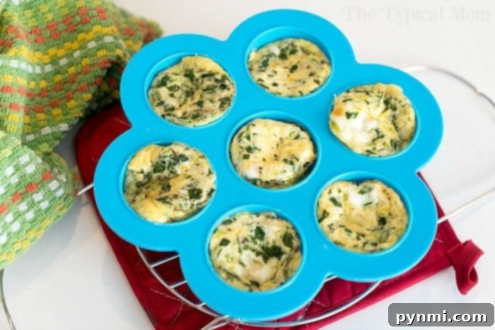 Pressure cooker egg bites are the perfect protein packed breakfast for busy mornings. A great Keto Instant Pot recipe with just a few ingredients. #instantpot #eggbites #starbucks #keto #instantpotrecipes #pressurecooker #crockpotexpress #thetypicalmom Instant Pot Egg Mold - a blue silicone mold with multiple compartments, ready for use