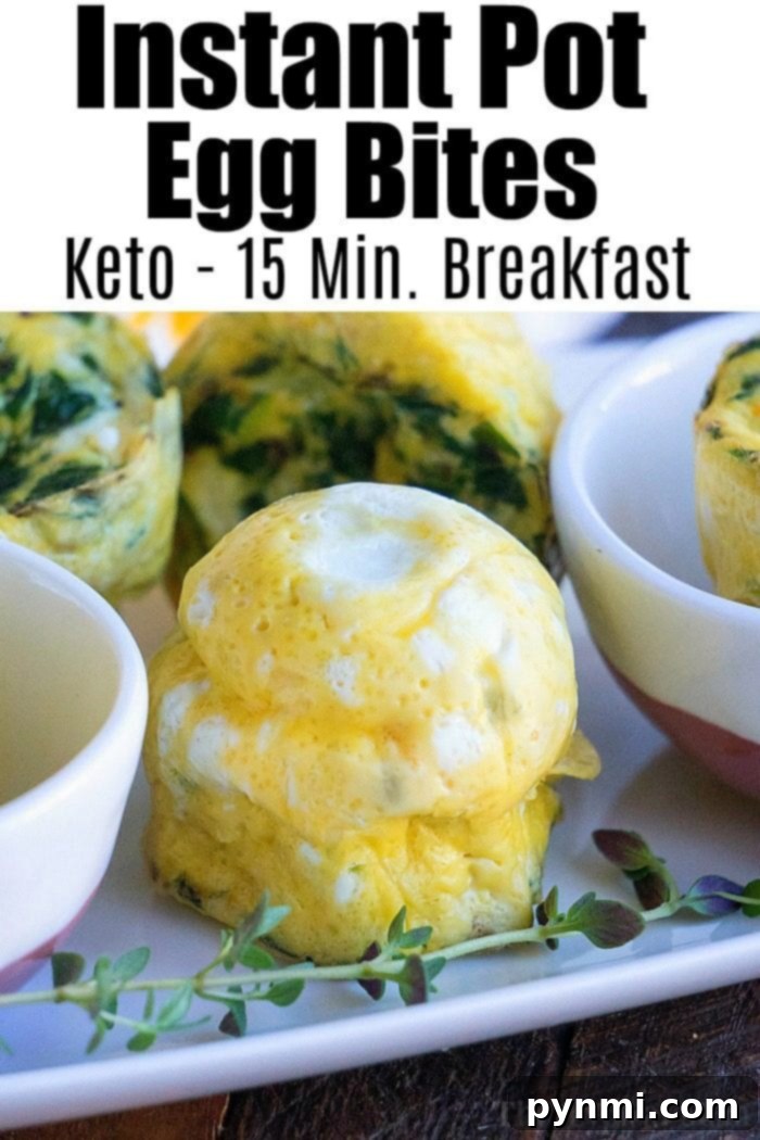 Pressure cooker egg bites are the perfect protein packed breakfast for busy mornings. A great Keto Instant Pot recipe with just a few ingredients. #instantpot #eggbites #starbucks #keto #instantpotrecipes #pressurecooker #crockpotexpress #thetypicalmom A comparison image of homemade egg bites that resemble Starbucks eggs, served on a plate