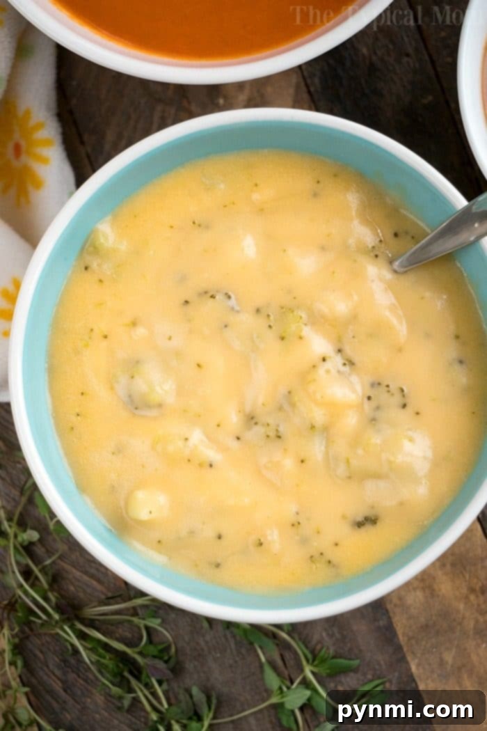 Broccoli Cheese Soup Paired with Easy Garlic Pull Apart Bread Hearty broccoli cheese soup, perfectly complemented by a side of warm, savory pull apart garlic bread.